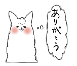 alpacompany
