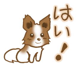 Sticker of the Papillon sticker #2881251