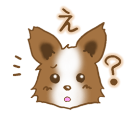 Sticker of the Papillon sticker #2881255