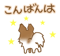 Sticker of the Papillon sticker #2881261