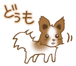 Sticker of the Papillon sticker #2881263