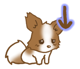 Sticker of the Papillon sticker #2881274