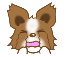 Sticker of the Papillon sticker #2881277