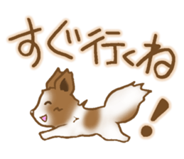 Sticker of the Papillon sticker #2881280