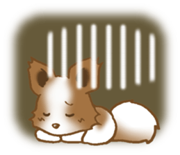 Sticker of the Papillon sticker #2881285