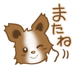 Sticker of the Papillon sticker #2881289