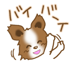 Sticker of the Papillon sticker #2881290