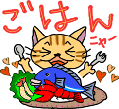 CATS LIFE sticker #2882020