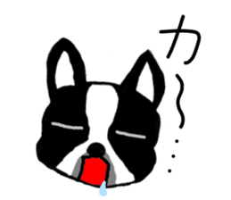 Cute Bulldog and littlebit Beagle sticker #2882458