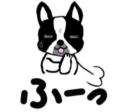 Cute Bulldog and littlebit Beagle sticker #2882467