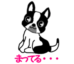 Cute Bulldog and littlebit Beagle sticker #2882472