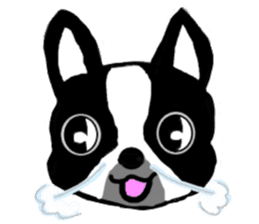 Cute Bulldog and littlebit Beagle sticker #2882478