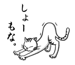 Days of Kansai cats sticker #2882979