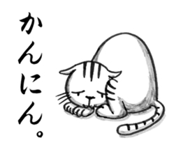 Days of Kansai cats sticker #2882986