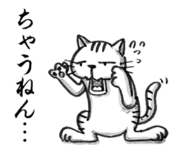 Days of Kansai cats sticker #2882989
