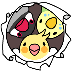 Talkative cockatiel,budgies,Java sparrow