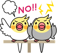 Talkative cockatiel,budgies,Java sparrow sticker #2883815