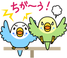 Talkative cockatiel,budgies,Java sparrow sticker #2883816