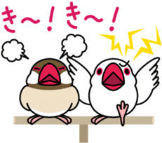 Talkative cockatiel,budgies,Java sparrow sticker #2883817