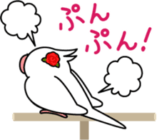 Talkative cockatiel,budgies,Java sparrow sticker #2883818