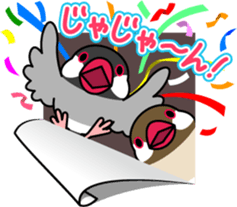 Talkative cockatiel,budgies,Java sparrow sticker #2883821