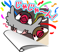 Talkative cockatiel,budgies,Java sparrow sticker #2883821