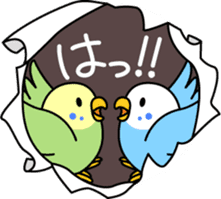 Talkative cockatiel,budgies,Java sparrow sticker #2883824
