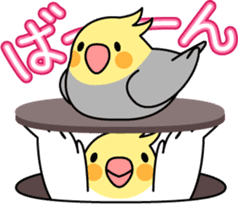 Talkative cockatiel,budgies,Java sparrow sticker #2883827