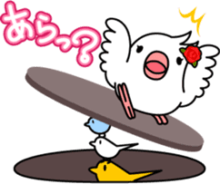 Talkative cockatiel,budgies,Java sparrow sticker #2883830