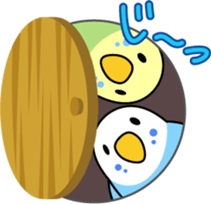 Talkative cockatiel,budgies,Java sparrow sticker #2883832