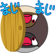 Talkative cockatiel,budgies,Java sparrow sticker #2883833