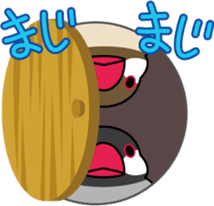 Talkative cockatiel,budgies,Java sparrow sticker #2883833