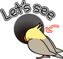 Talkative cockatiel,budgies,Java sparrow sticker #2883835