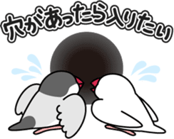 Talkative cockatiel,budgies,Java sparrow sticker #2883837