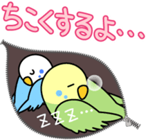 Talkative cockatiel,budgies,Java sparrow sticker #2883844