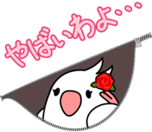 Talkative cockatiel,budgies,Java sparrow sticker #2883846