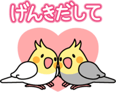 Talkative cockatiel,budgies,Java sparrow sticker #2883847
