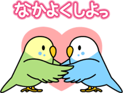 Talkative cockatiel,budgies,Java sparrow sticker #2883848