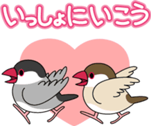 Talkative cockatiel,budgies,Java sparrow sticker #2883849