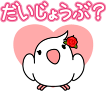Talkative cockatiel,budgies,Java sparrow sticker #2883850