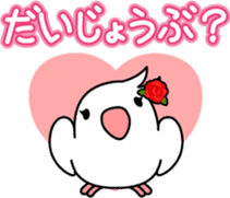 Talkative cockatiel,budgies,Java sparrow sticker #2883850