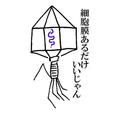 Phage, Planaria, microbea-microorganism