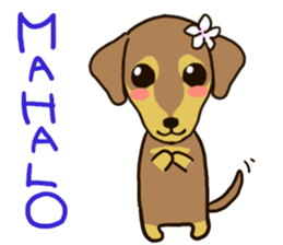 kirakira2 sticker #2884392