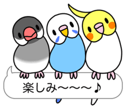 Little Birds With Speech Balloon sticker #2887177