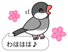 Little Birds With Speech Balloon sticker #2887192