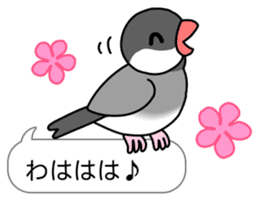 Little Birds With Speech Balloon sticker #2887192