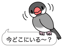 Little Birds With Speech Balloon sticker #2887197