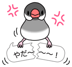 Little Birds With Speech Balloon sticker #2887200