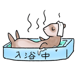 love ferret sticker #2888541