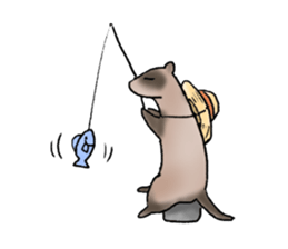 love ferret sticker #2888546